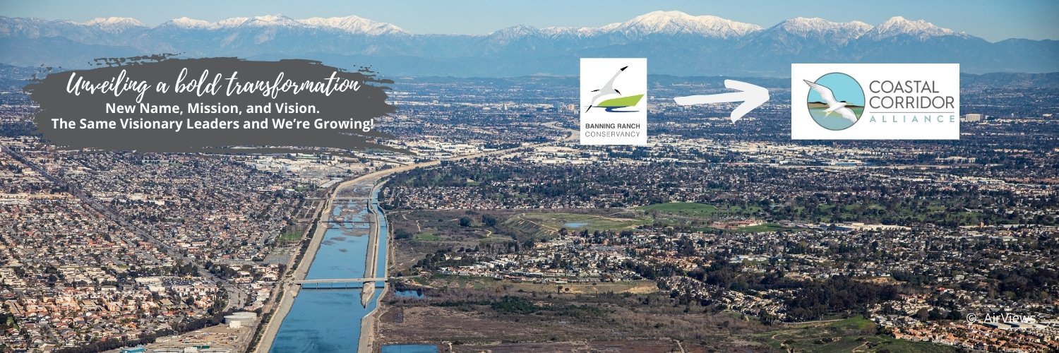 CoastalCorridor's profile banner image