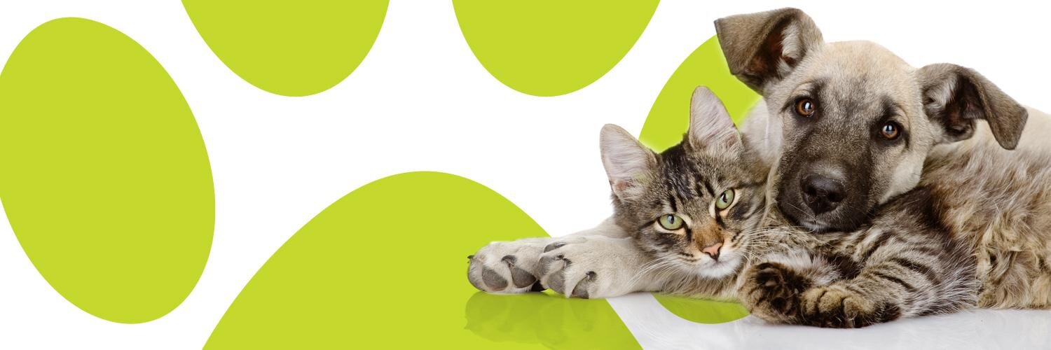 GetAPetToLove's profile banner image