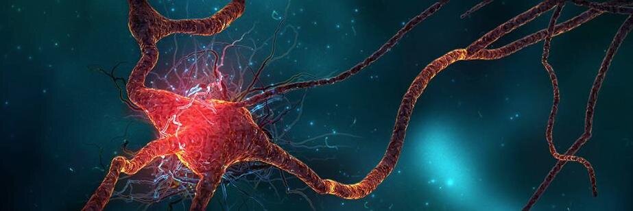 UMiami Neurology's banner