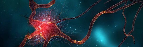 UMiamiNeuro Profile Banner