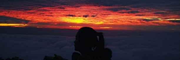 renialfiyah's profile banner image