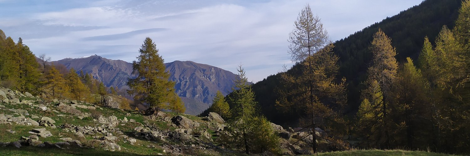 ninefelice's profile banner image