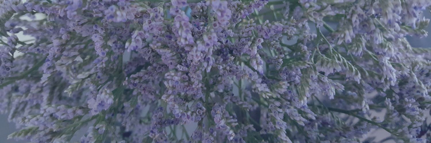 Liz_Cin's profile banner image