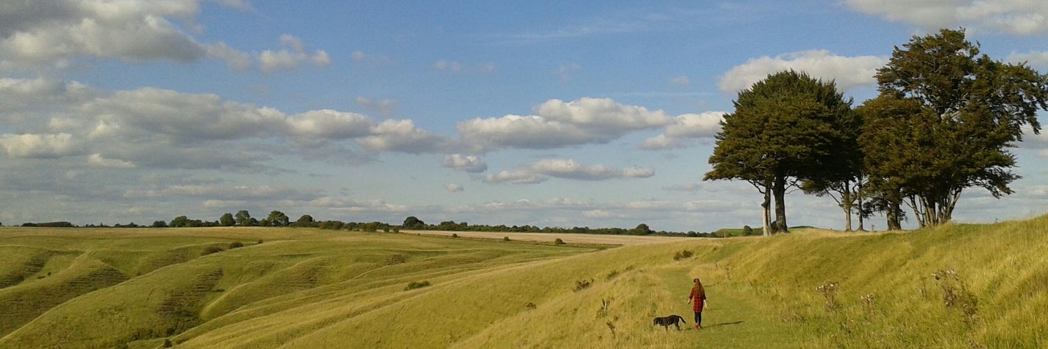 runningdean's profile banner image