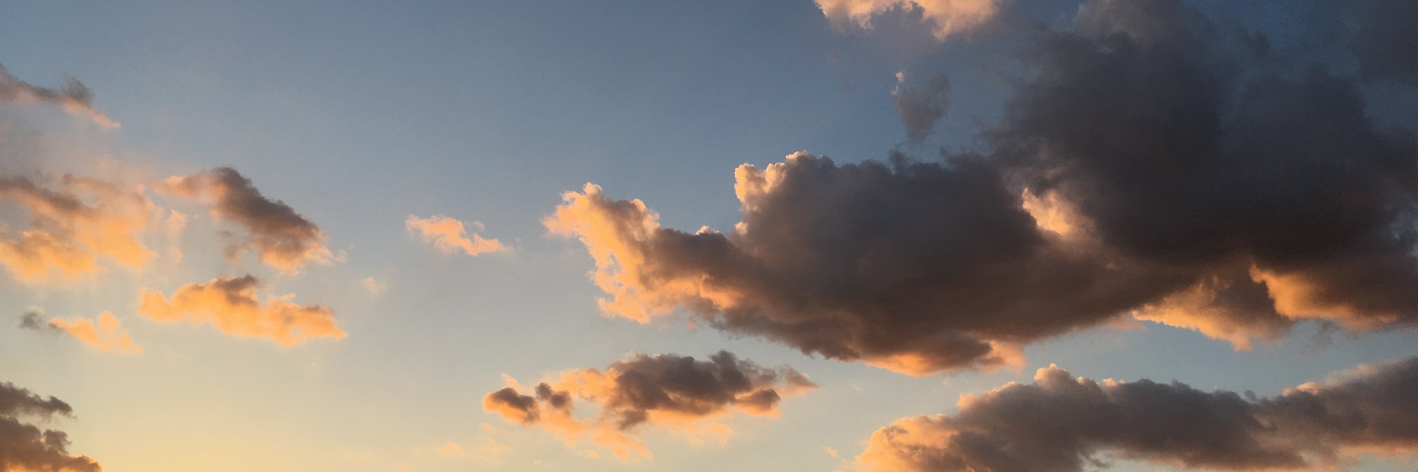 にゃんこ先生 banner