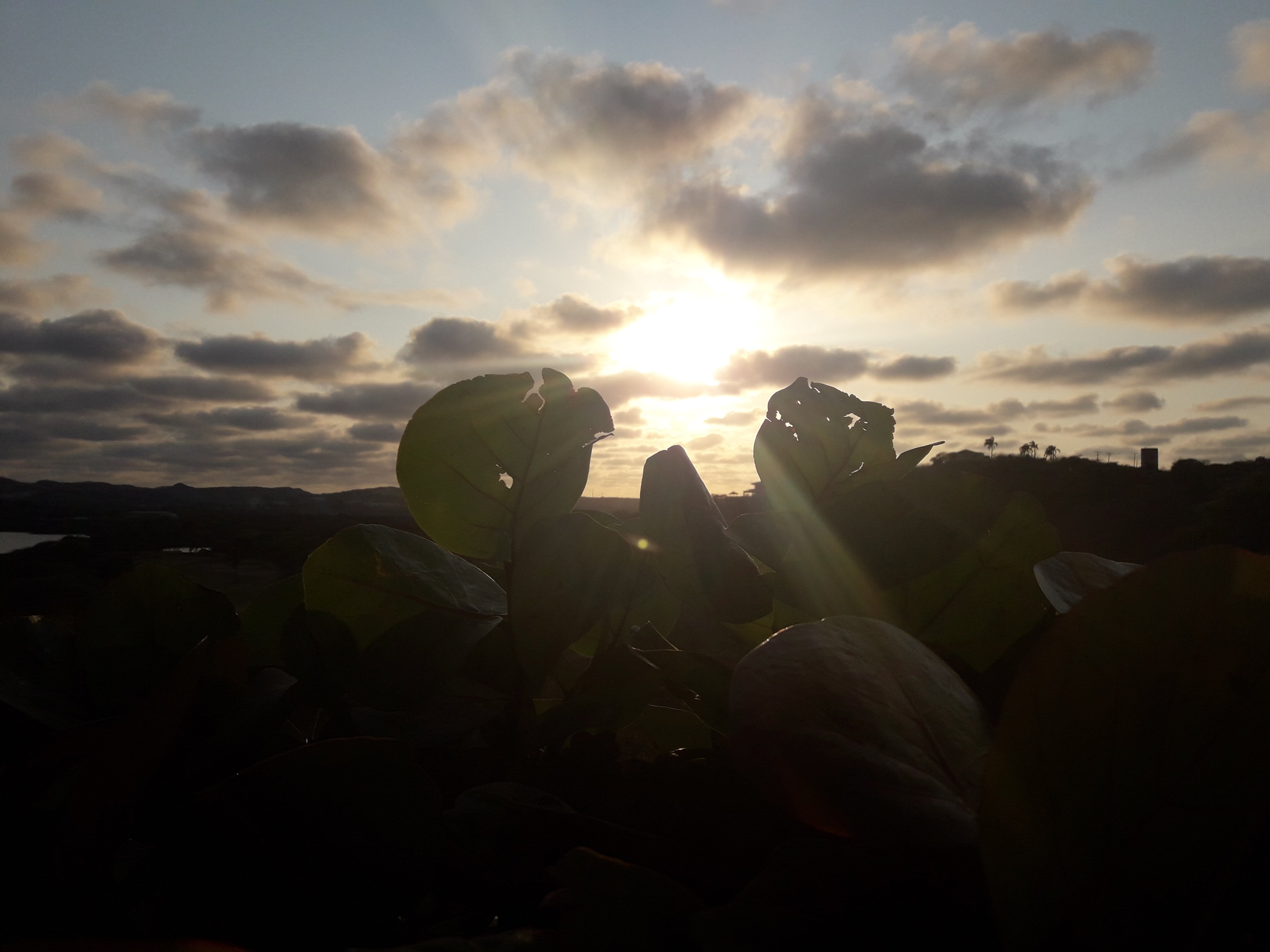 galleta de limón con tinto 🤭 banner