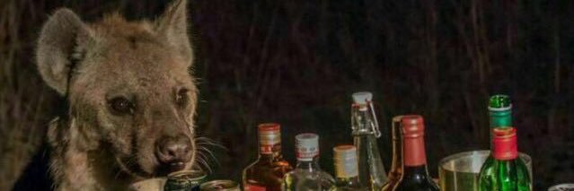 HeiBaiSpirit's profile banner image