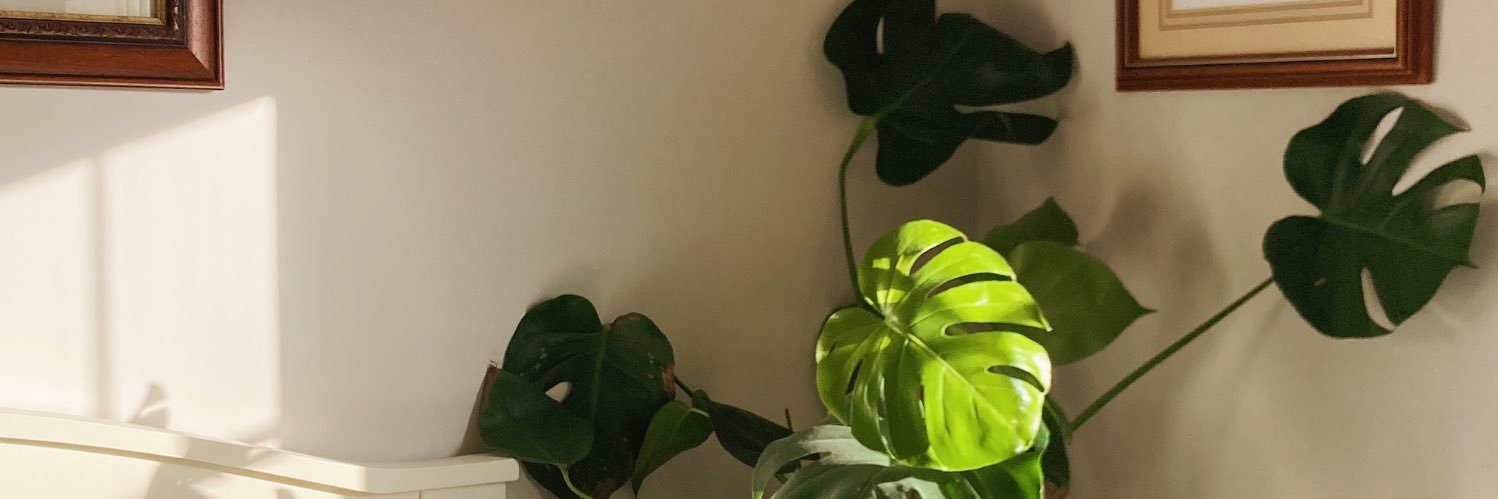 cIimbing's profile banner image