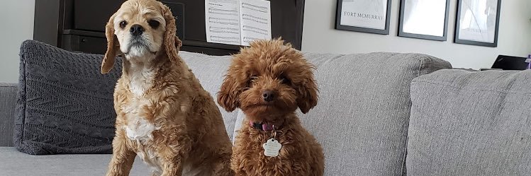 kaileyjoyallen's profile banner image