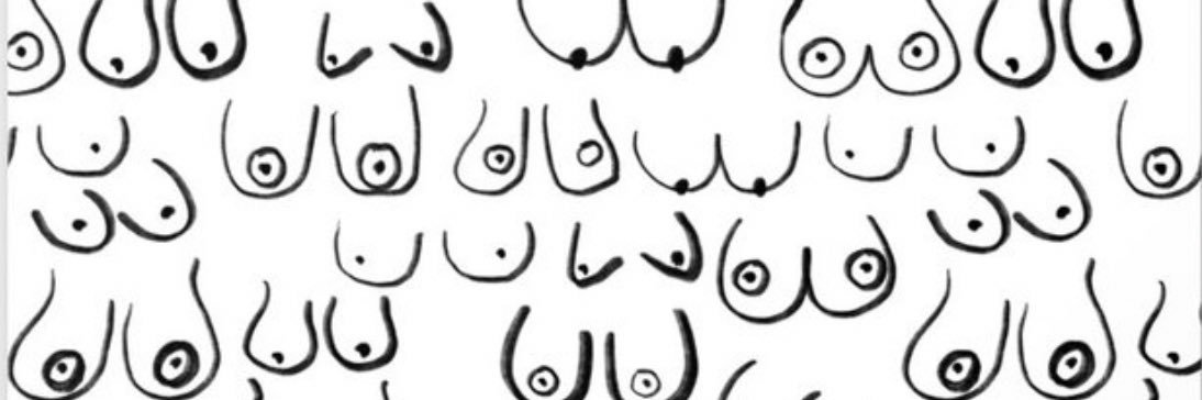 K A I S A banner