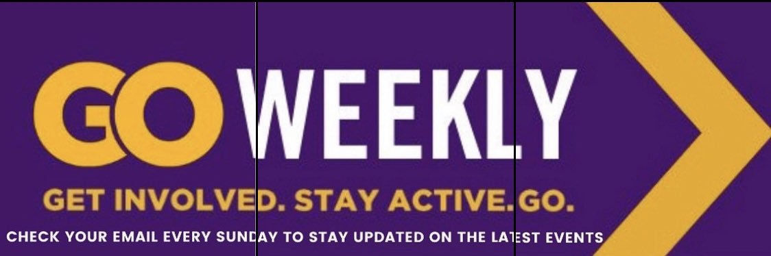 UAlbanyGo's profile banner image