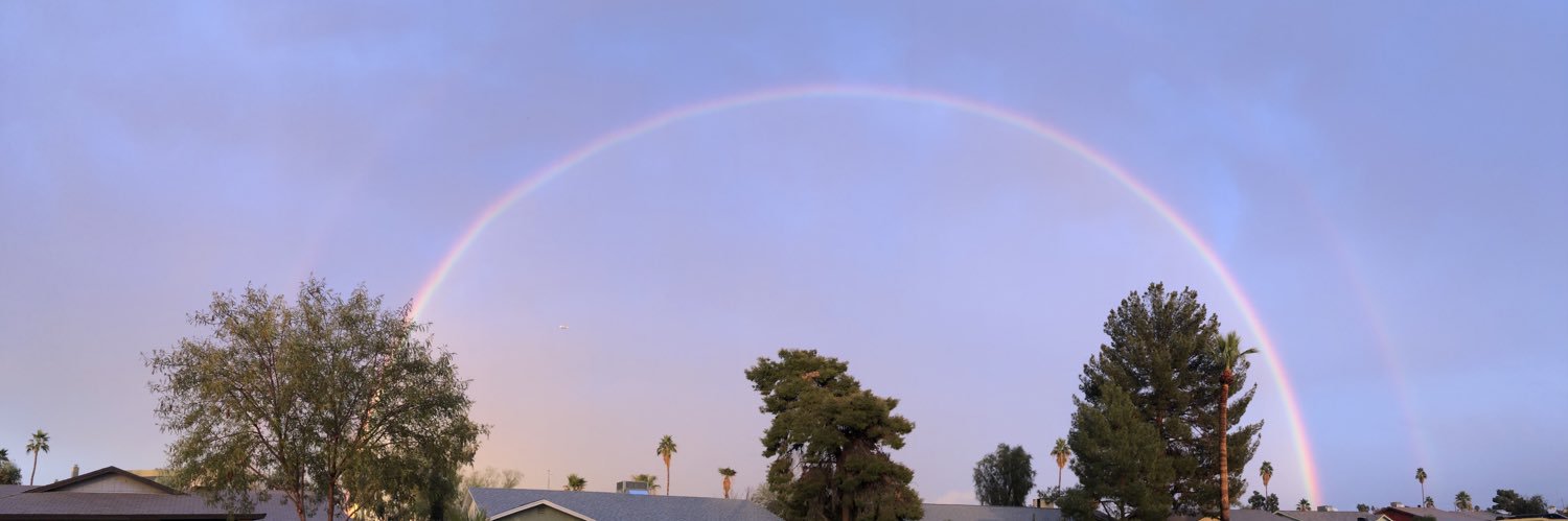 liz laugh lie banner