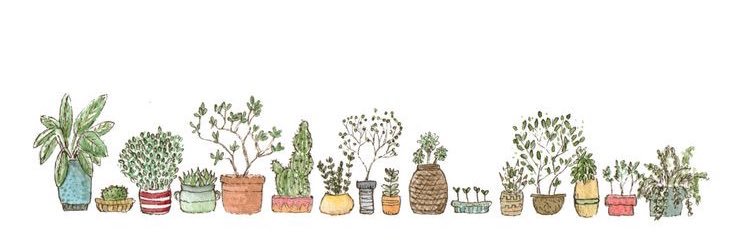 imarabells's profile banner image