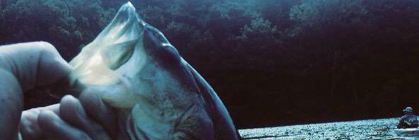 Chasing The Dream ™ banner