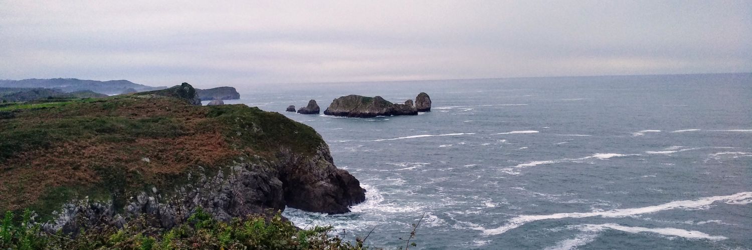 Conrado Molina banner