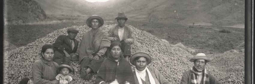 Nino Bariola banner