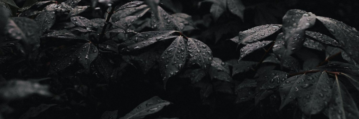 thayreenfx's profile banner image