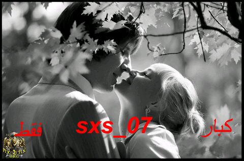 07_sxs's profile banner image