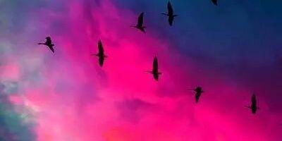 azzahindriani's profile banner image