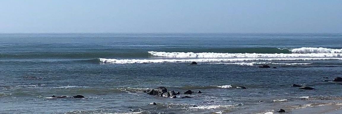 Warren Bradfield banner