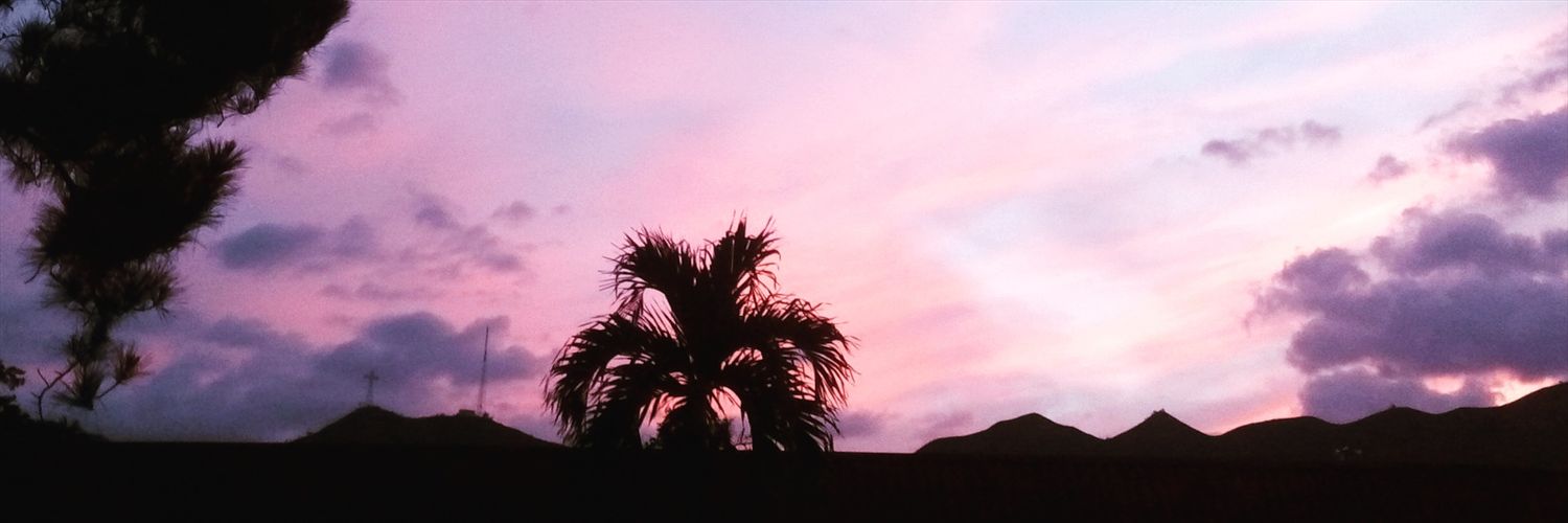 carrillogeness's profile banner image