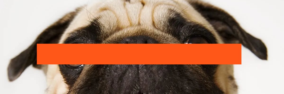 MorningStar (Ø,G) 🔆 banner