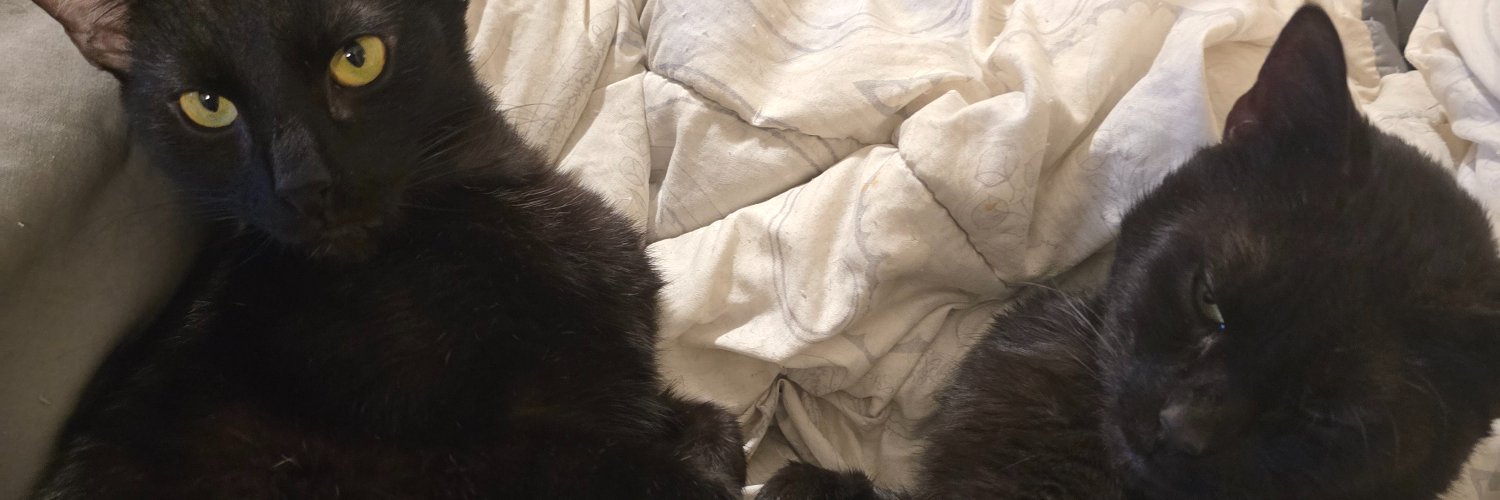 Mattjferris19's profile banner image