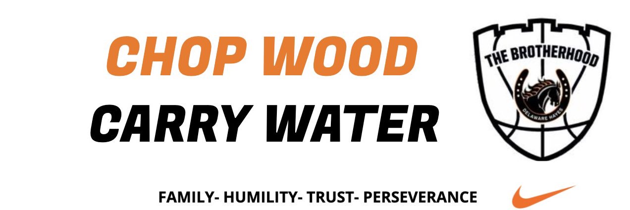 Delaware Hayes Basketball banner