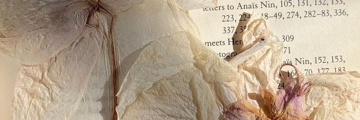 _abeerm98's profile banner image