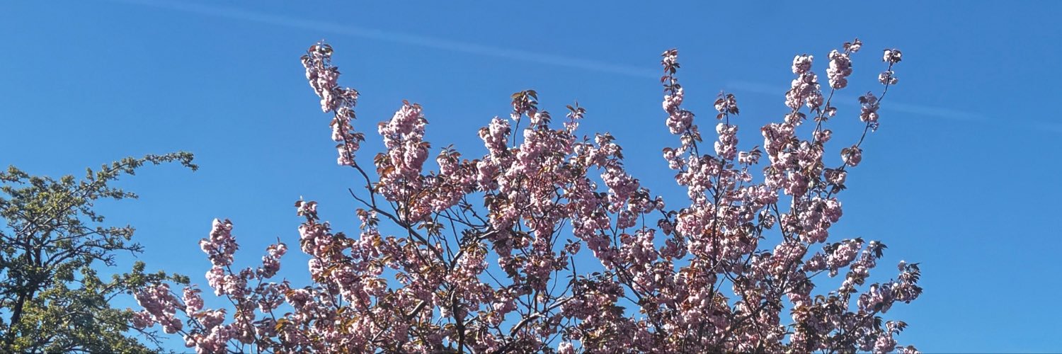 hoxol500's profile banner image