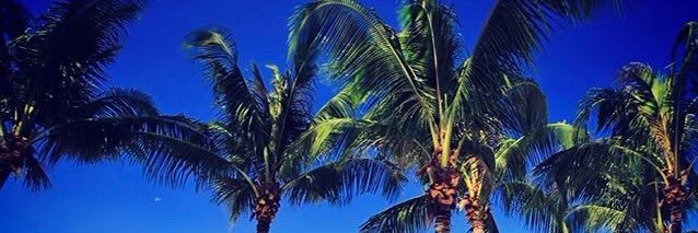 Staceylxxxx's profile banner image