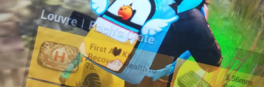 dannirch9's profile banner image