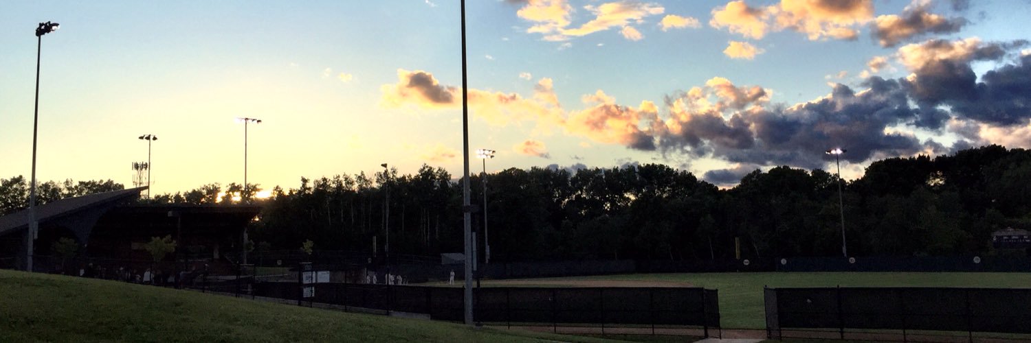 Chan Legion Baseball banner