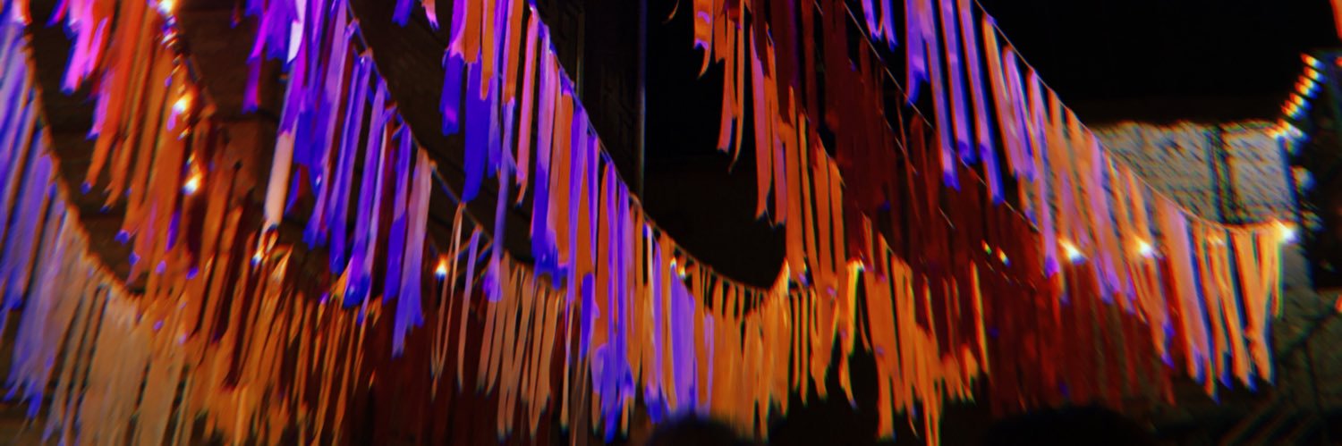AnnLang95's profile banner image