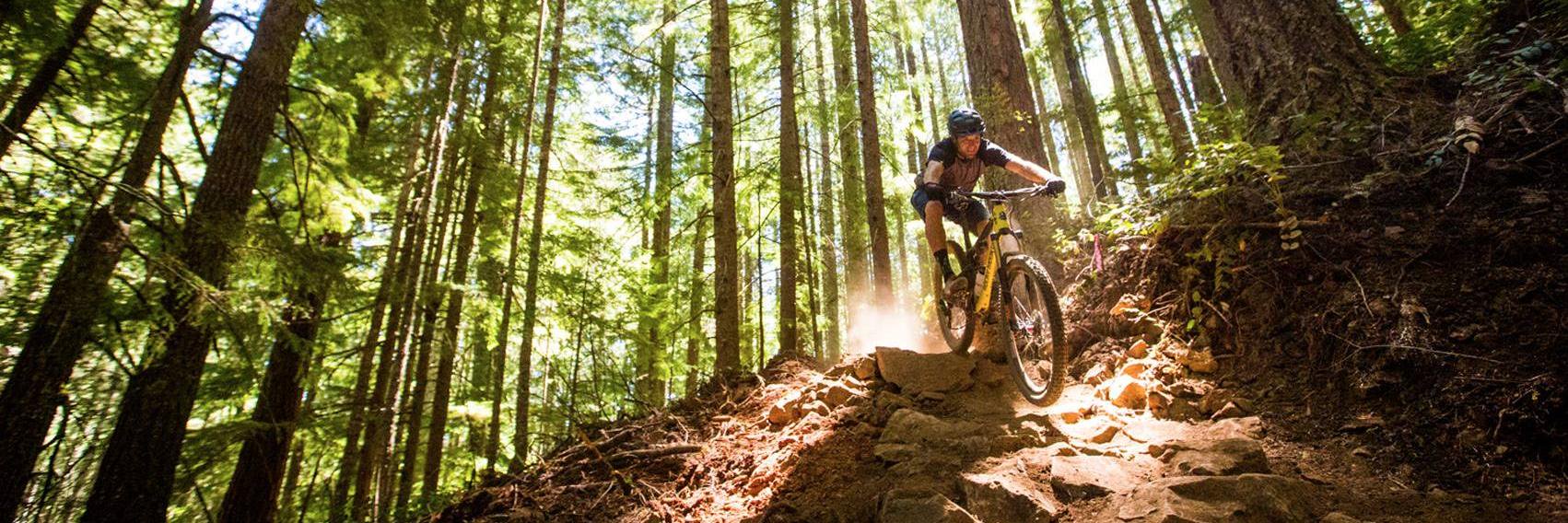 mtbproj's profile banner image