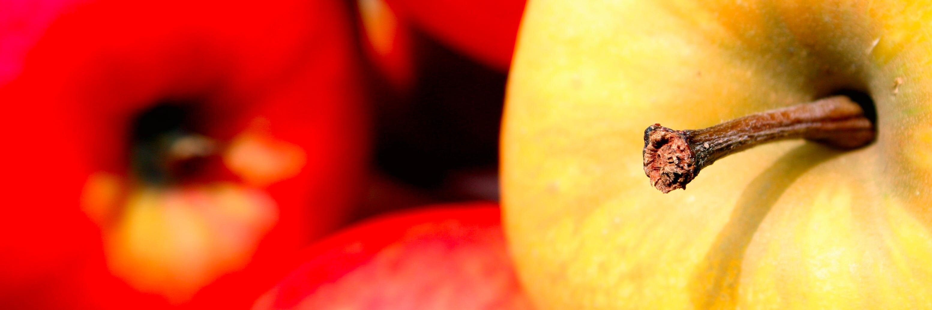 Cider_Junkies's profile banner image