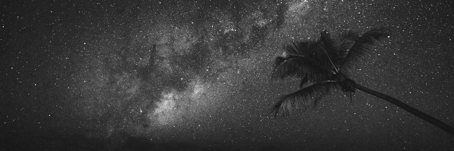 Michel Araújo banner