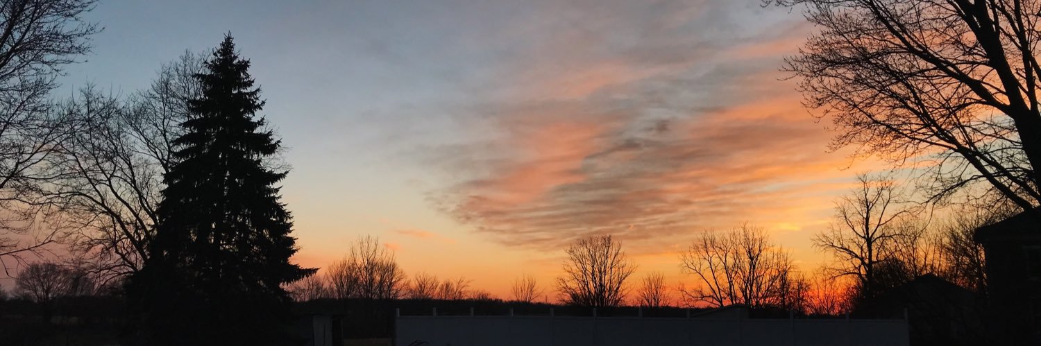 ambersturgis's profile banner image