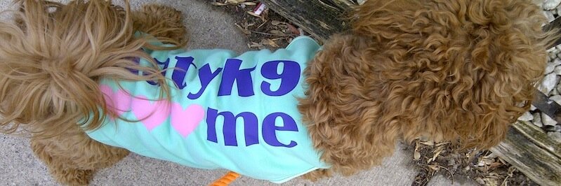 KatyK9LovesDogs's profile banner image