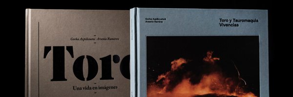 ArseyAzpi Profile Banner