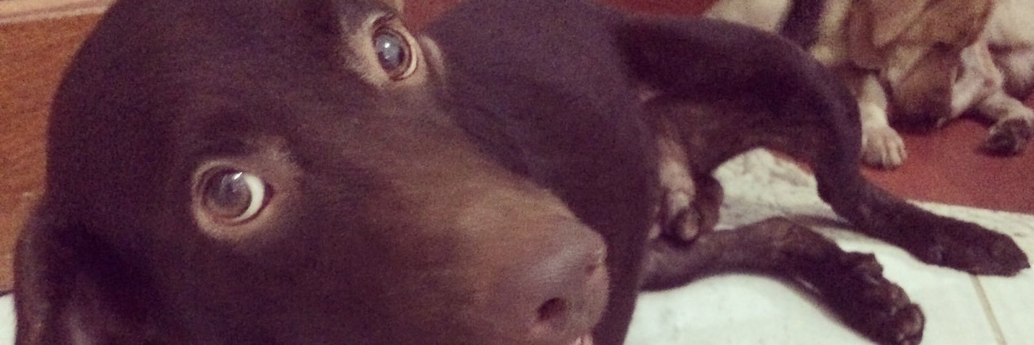 RaayLouise's profile banner image