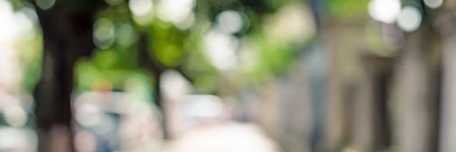 Lindsey Brouillard banner