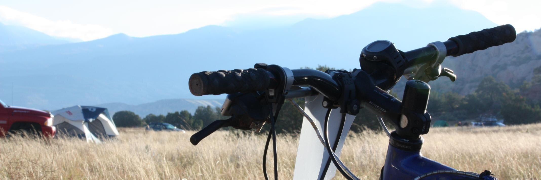 Anthony Schwartz, PhD banner