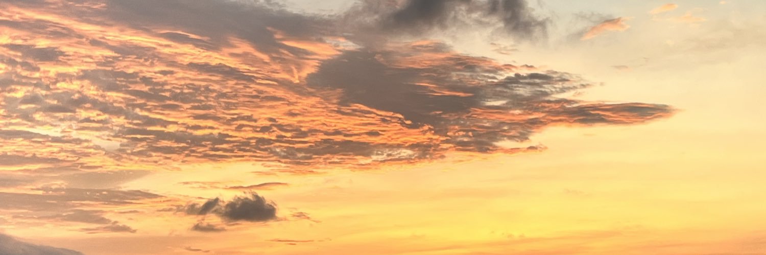 lincazu's profile banner image