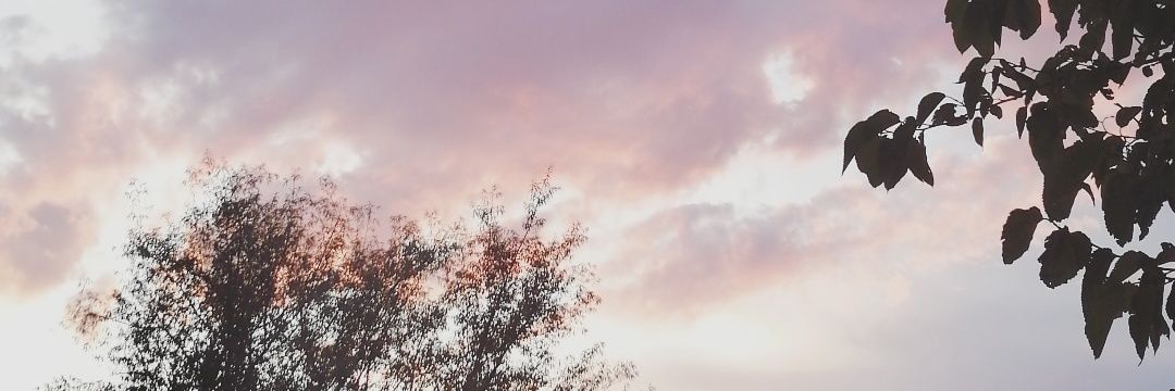 Alby_1242's profile banner image