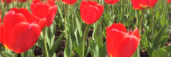 jane_combs Profile Banner