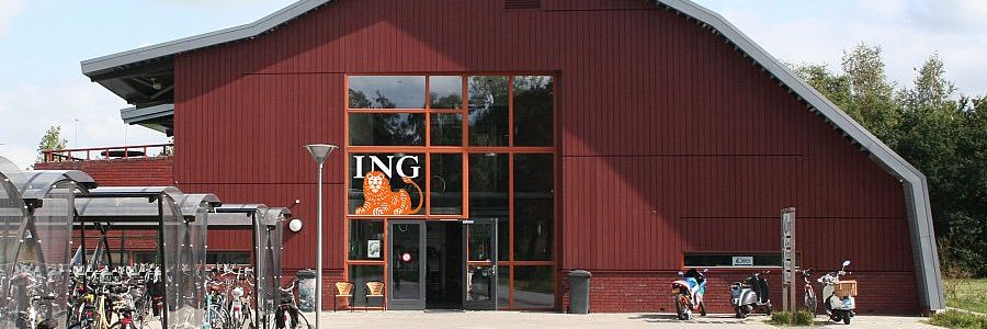 SV CWO Vlaardingen banner