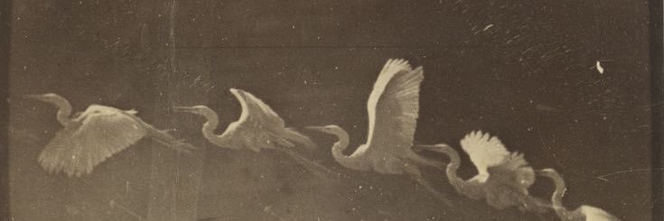 brierzz's profile banner image