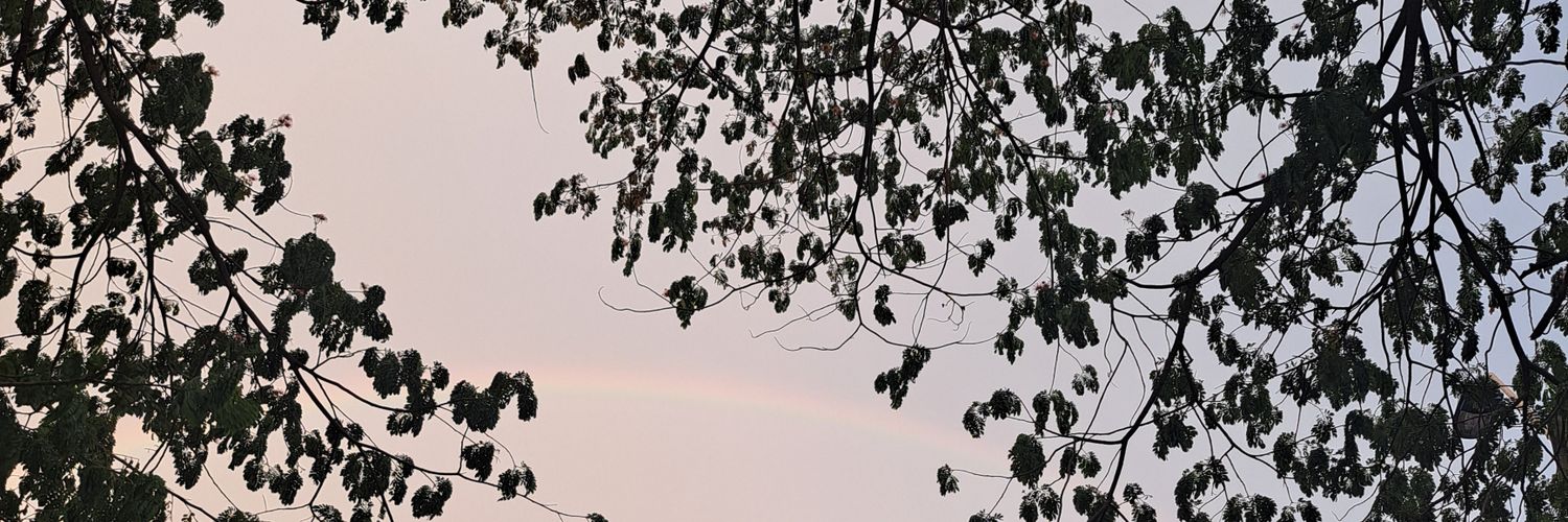 Viel🌸💋 banner