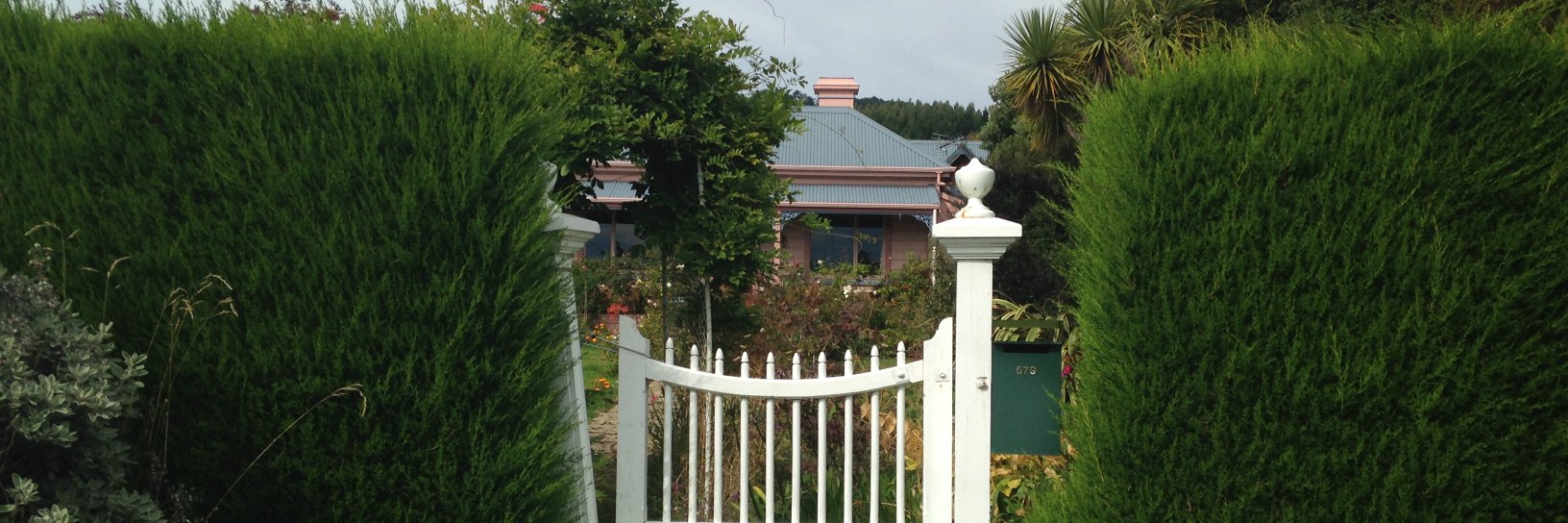 Sonia Jennings banner